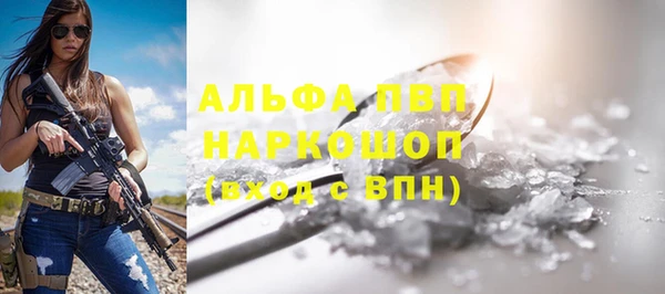 шишки Белоозёрский