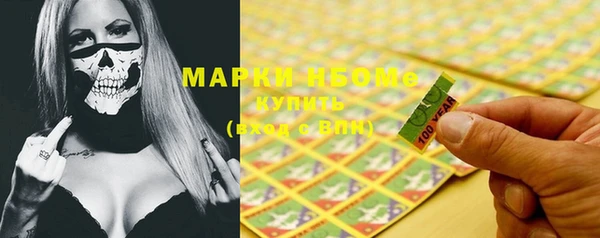 шишки Белоозёрский