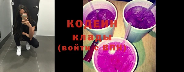 шишки Белоозёрский