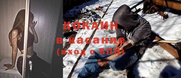 шишки Белоозёрский