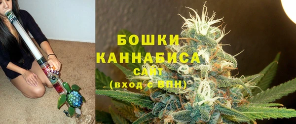 твердый Белокуриха