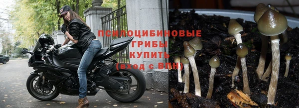 apvp Беломорск