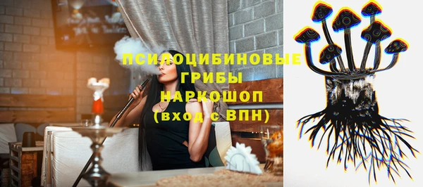 твердый Белокуриха