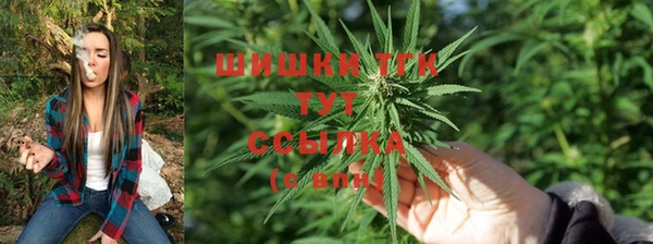 твердый Белокуриха