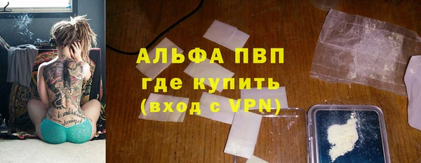 шишки Белоозёрский