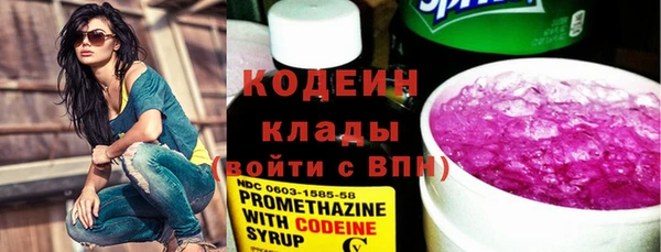 шишки Белоозёрский